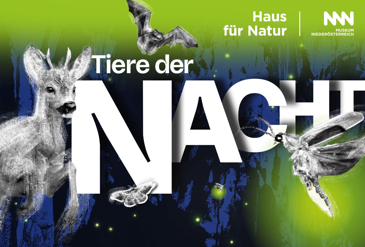 Tiere der Nacht, Sujet